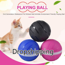 Load image into Gallery viewer, Newest 2nd Generation Pet Ball Waterproof Pet Wicked Ball Anti-bite Environment Friendly Pet Playing Ball Support Drop Shipping